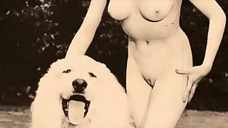 Output Taboo, Pussy & Pooch